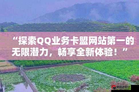 QQ 红钻卡盟，引领时尚虚拟特权的新潮流